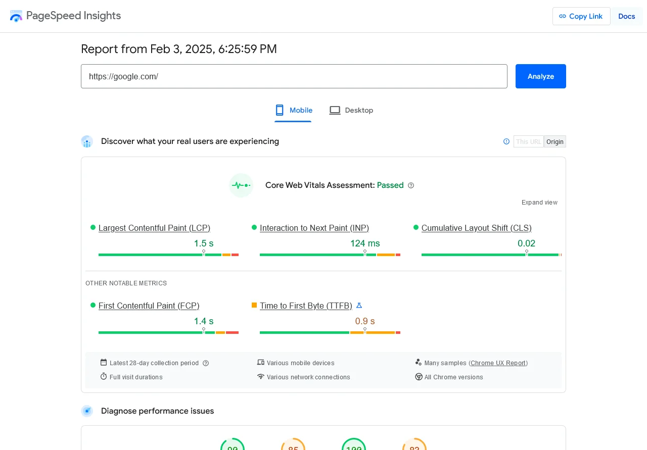 PageSpeed Insights.