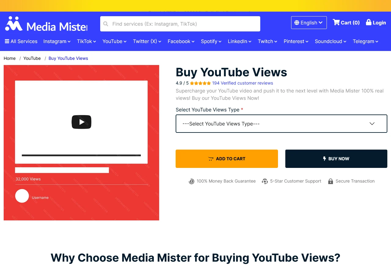 mediamister.com youtube views.