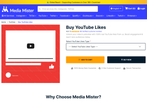mediamister