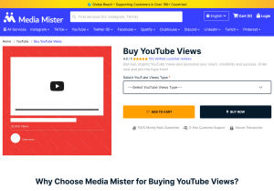 mediamister.com