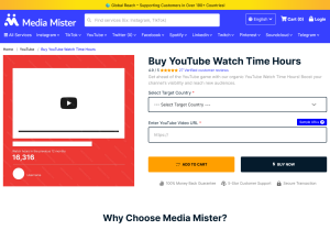 mediamister.com.
