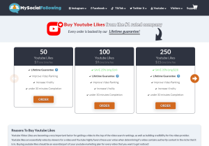 mysocialfollowing.com.