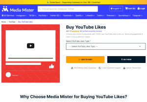 mediamister.com youtube likes.