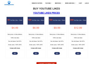 mediageneous.com youtube likes.