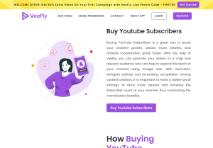 veefly.com.