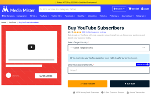 mediamister.com youtube subscribers.