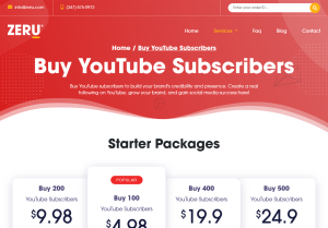 zeru.com youtube subscribers.
