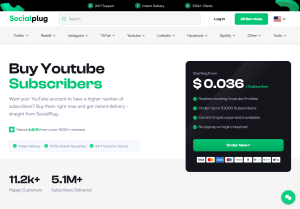 socialplug.io youtube subscribers.