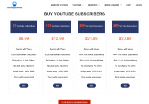 mediageneous.com youtube subscribers.