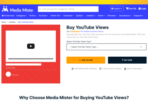 mediamister.com youtube views.